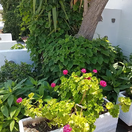 Διαμέρισμα Melina's Καλαβάρδα