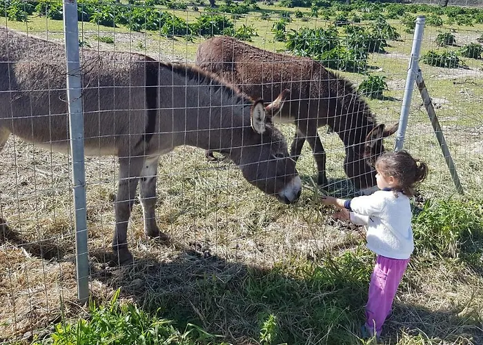 Апартаменты Melina's
