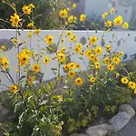 Melina's