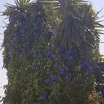 Melina's شقة
