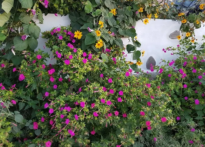 Melina's Apartament *