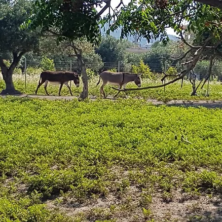Melina's Apartament Kalavárda