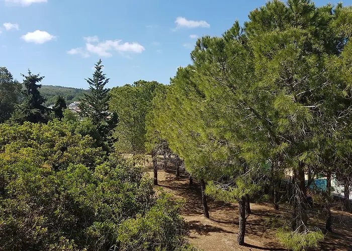 Daire Melina's Kalavárda