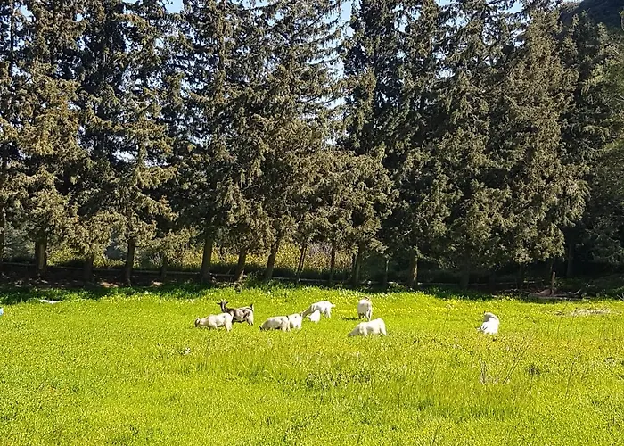 Melina's * Καλαβάρδα